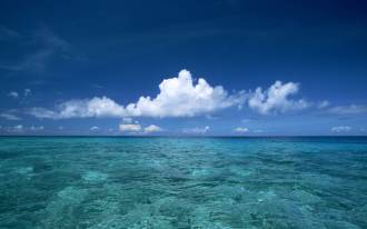 beach_of_Hawaii_GJ055