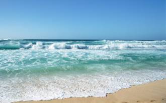 Beach_and_Sea_of_Hawaii_JY160_350A