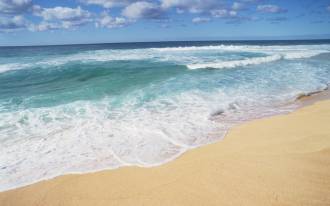 Beach_and_Sea_of_Hawaii_JY159_350A