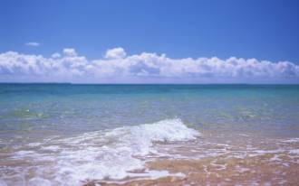 beach_of_Hawaii_GJ021