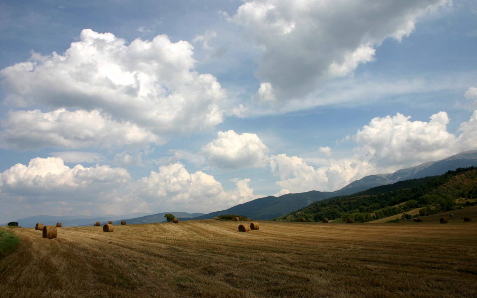 pazitif 6