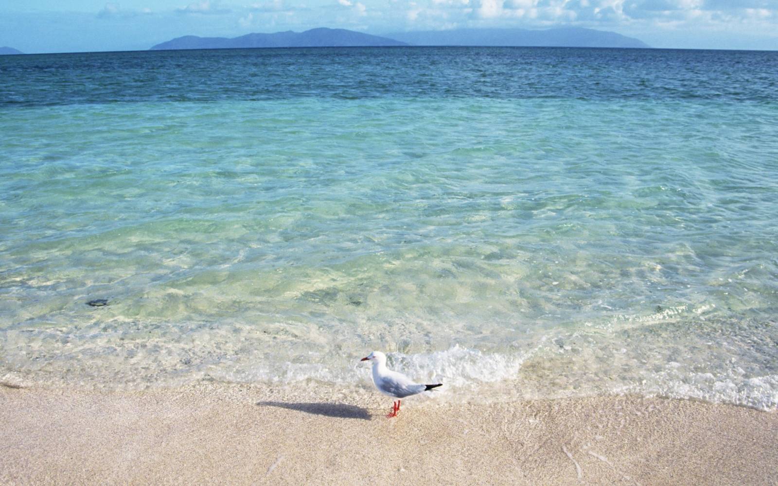 Beach_and_Sea_of_Hawaii_JY151_350A