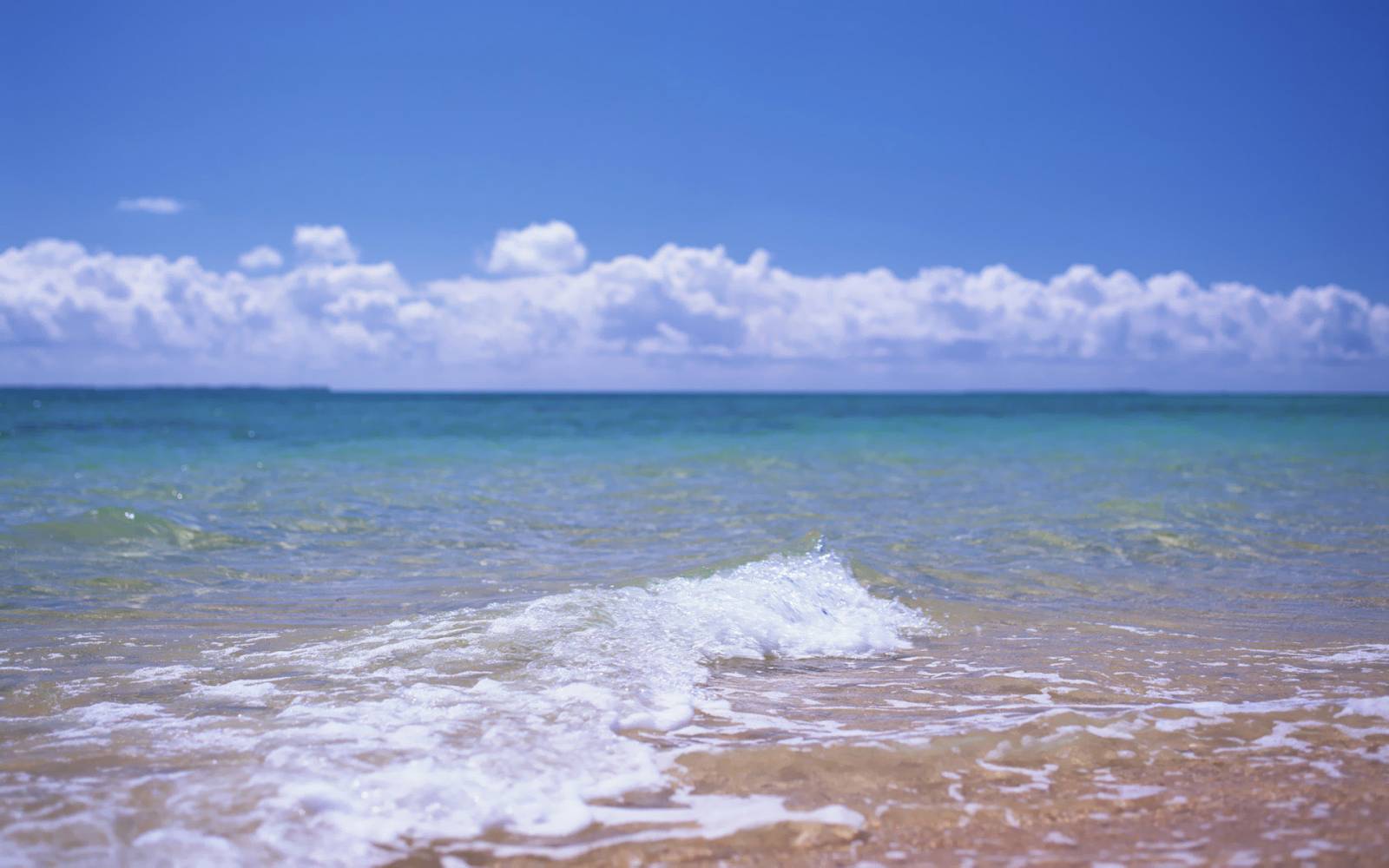 beach_of_Hawaii_GJ021